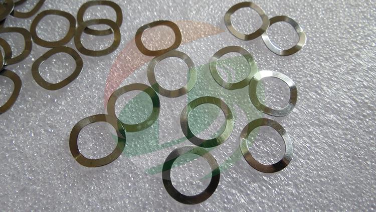 product-1-1 Lab CR2032 Coin Cell Wave Spring.jpg